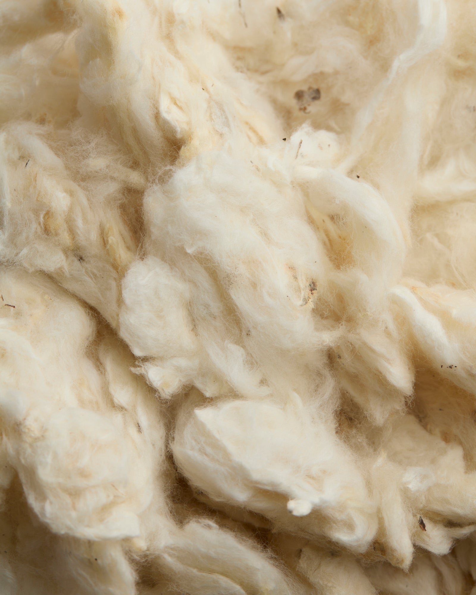 Fabric :